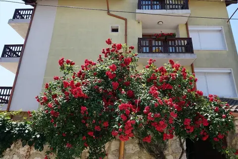 Residenzia Margarita in Златни пясъци — foto 12