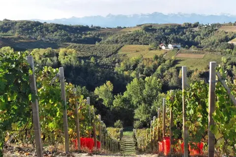 Agriturismo Cantina Bevione in Farigliano, foto 4