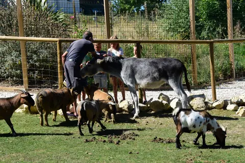 Le Camp De Florence foto 11