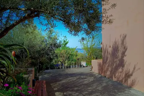 Oskars Studios in Λάσση — foto 14