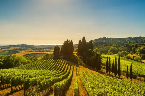 Toscane en Umbrië op het gemak in Milaan, foto 10
