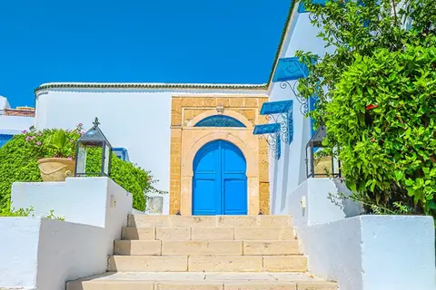 Dar Said in Tunis