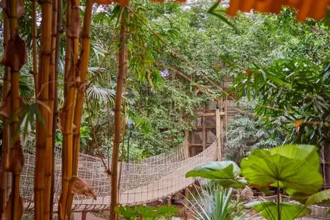 Center Parcs Het Heijderbos in Heijen — foto 7