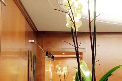 Albergo Santa Chiara in Rome, foto 17