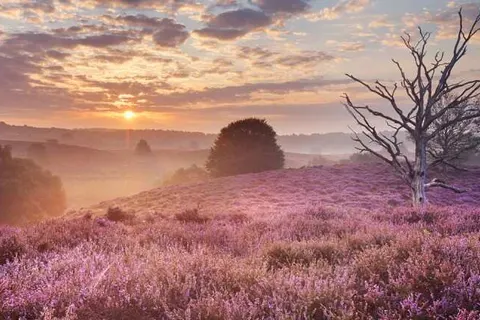 Landgoed Stakenberg foto 14