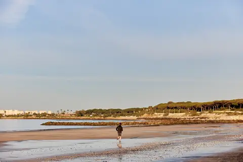 Taïga Puerto Santa Maria in El Puerto de Santa María — foto 17