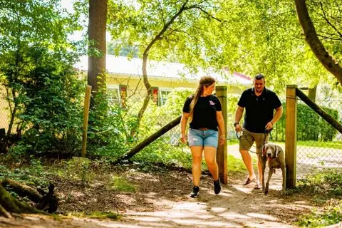 Vakantiepark de Luttenberg foto 11