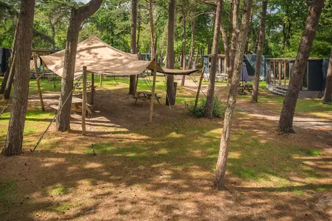Bos Park Bilthoven in Bilthoven — foto 9