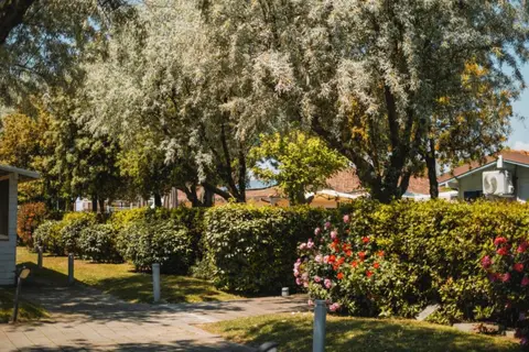 Natural Village Resort in Potenza Picena — foto 27