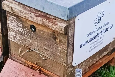 Trans World Hotel Auefeld foto 12