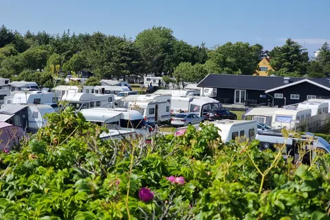 Camping Grenen Strand foto 16