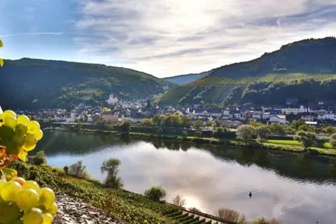 Boutique Hotel Villa Melsheimer foto 29