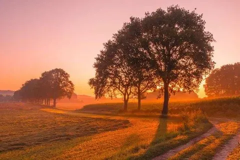 Mercure Nijmegen Centre foto 14