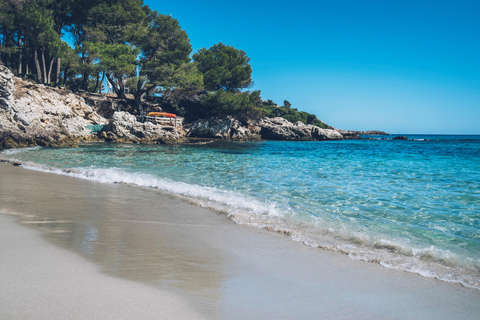 Iberostar Waves Pinos Park foto 33