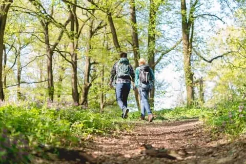 Bed and Breakfast Riekelt foto 21