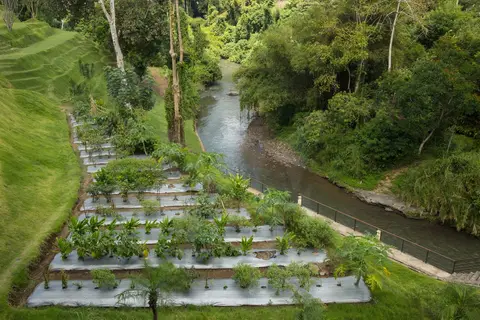 Sthala, A Tribute Portfolio Hotel, Ubud Bali in Ubud — foto 29