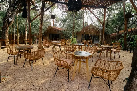 The Yellow Nest in Manuel Antonio Ay, foto 27