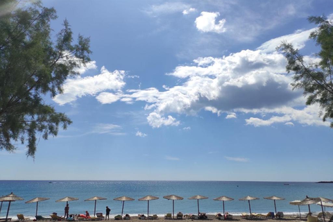 Studios Stegna Beach Premium foto 12