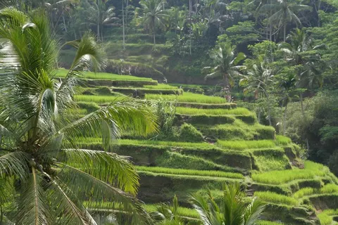 15-daagse familierondreis Bali foto 2