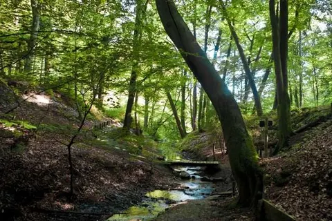 Buitenplaats Beekhuizen foto 16