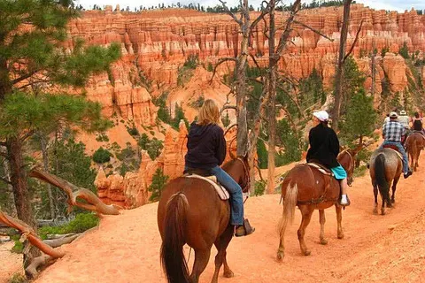 West-Amerika op het gemak foto 2