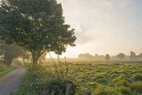 Bed and Breakfast Riekelt foto 19