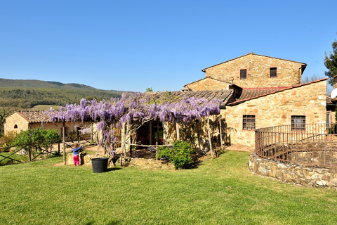 Le Mascie Country Houses foto 10