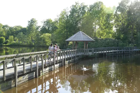 Center Parcs De Limburgse Peel foto 13