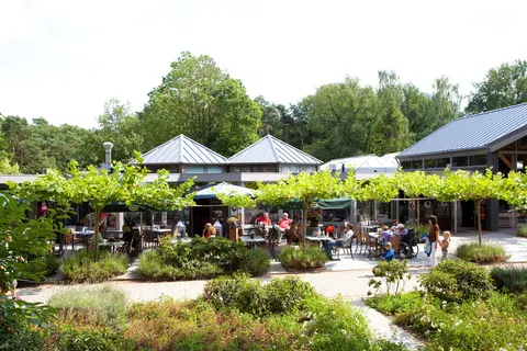 Vakantiepark Maasduinen foto 16