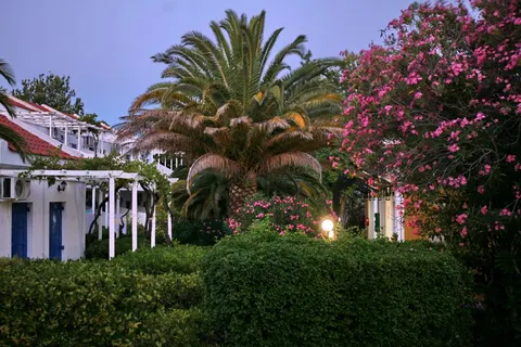 Aegeon Hotel foto 21