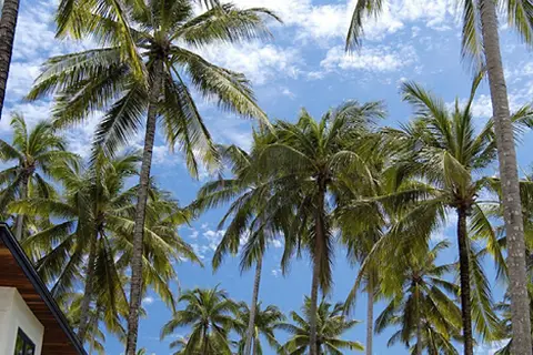 The Racha in ตำบลราไวย์ — foto 4