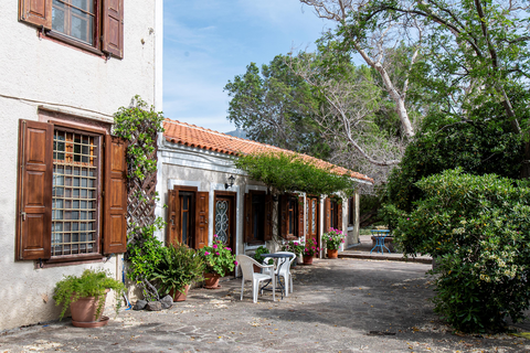 Appartementen Lela Kaptani Eftalou Olive Grove foto 18