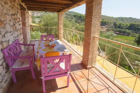 Revera Traditional in Laganas Municipal Unit — foto 13