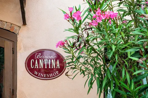 Agriturismo Cantina Bevione in Farigliano, foto 18