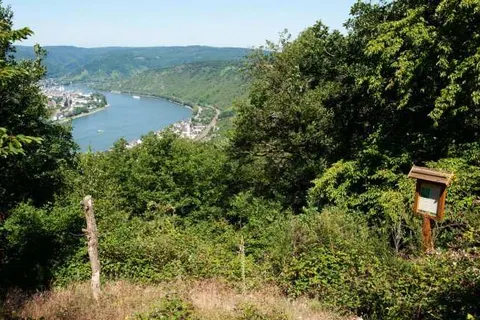 Hotel im Rheintal foto 23