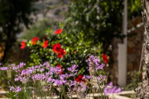Irini Hotel in Villa Irini, foto 30