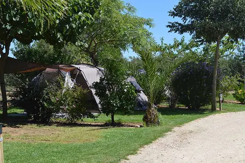 Camping Orangeraie foto 25