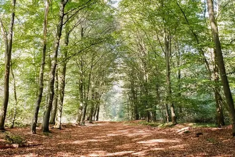 Hotel Huis van Bewaring foto 41