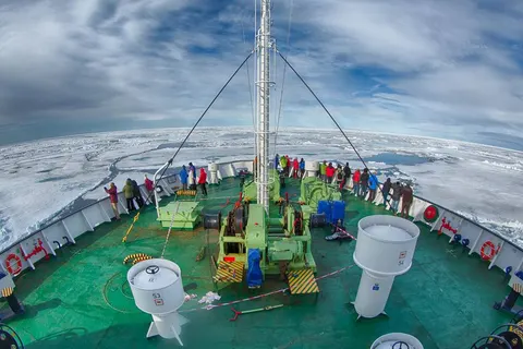 Spot Polar Bears in Spitsbergen foto 3