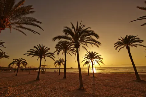 Palma Bay Club Resort foto 6
