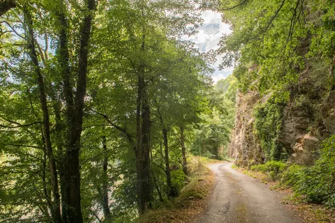 Camping Le Gibanel foto 13