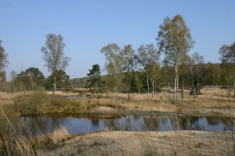 Boshotel Vlodrop foto 24