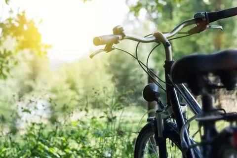 Landgoed Halsaf foto 23