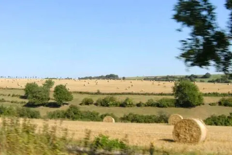 Hotel Zum Alten Brauhaus foto 15