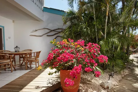 Hotel Paradera Park foto 12