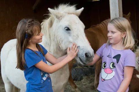 Gitzenweiler Hof Camping foto 7