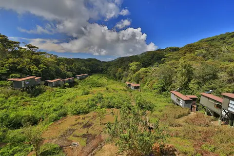 Rainforest Eco Lodge in Rainforest Ecolodge — foto 22