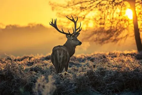 Hotel De Roode Schuur foto 31