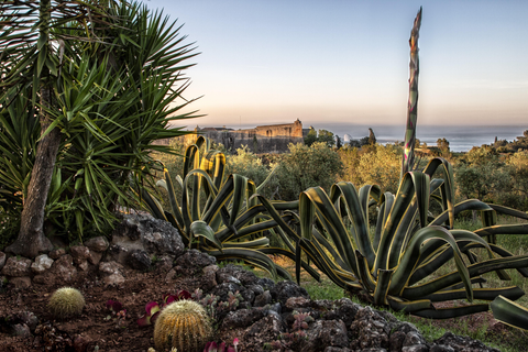 Olival de Sao Filipe foto 14