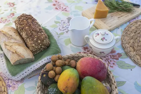 Finca San Diego in La Matanza de Acentejo — foto 7